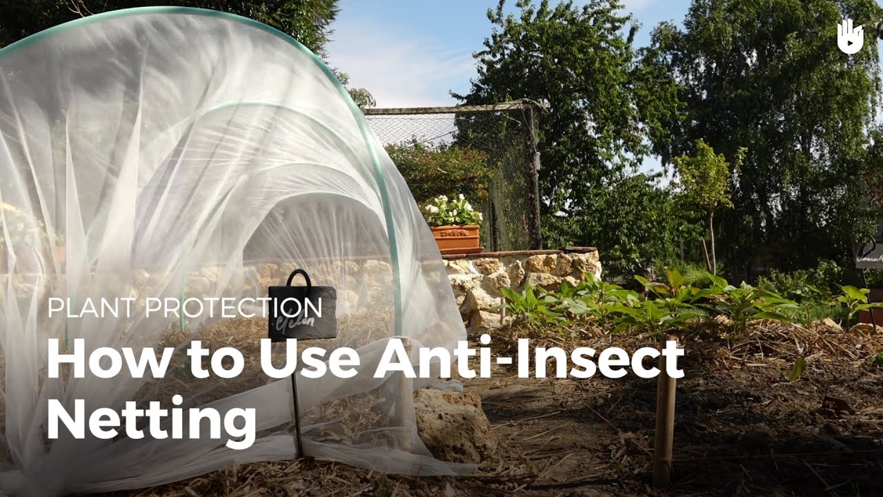 How to use anti-insect netting
