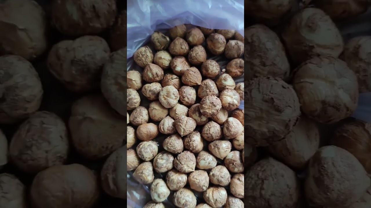 Фундук. Макдоналд, вихід ядра, частина 2