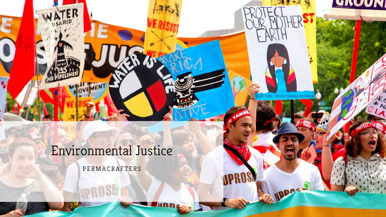 Environmental Justice ✊🏽 - Crash Course 🎥