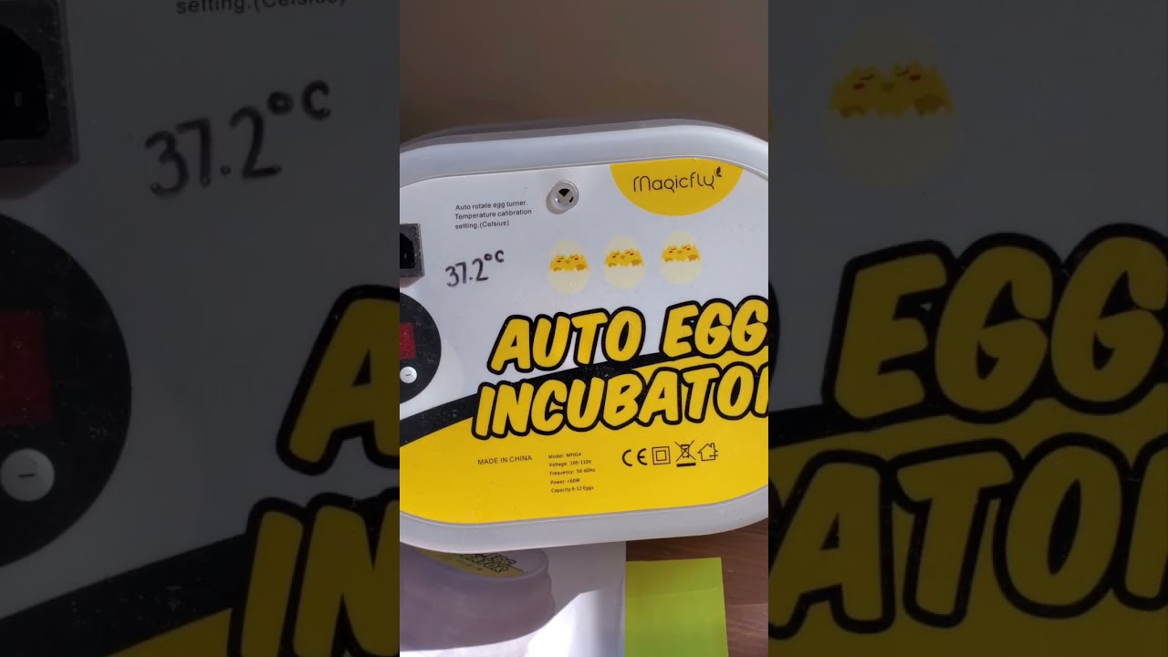 Magicfly Auto Egg Incubator | How to use it