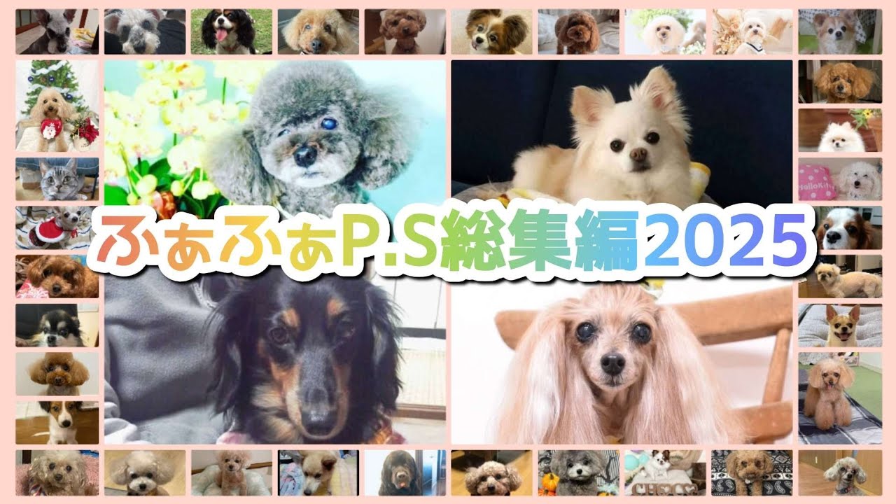 【ふぁふぁP.Sオーダー作品総集編2025】#羊毛フェルト#ハンドメイド#オーダーメイド