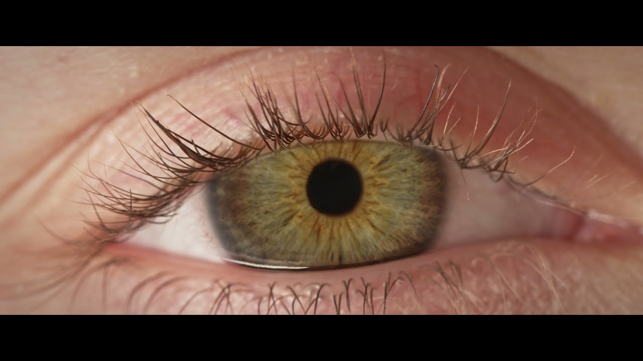 Polipol Stoffvielfalt