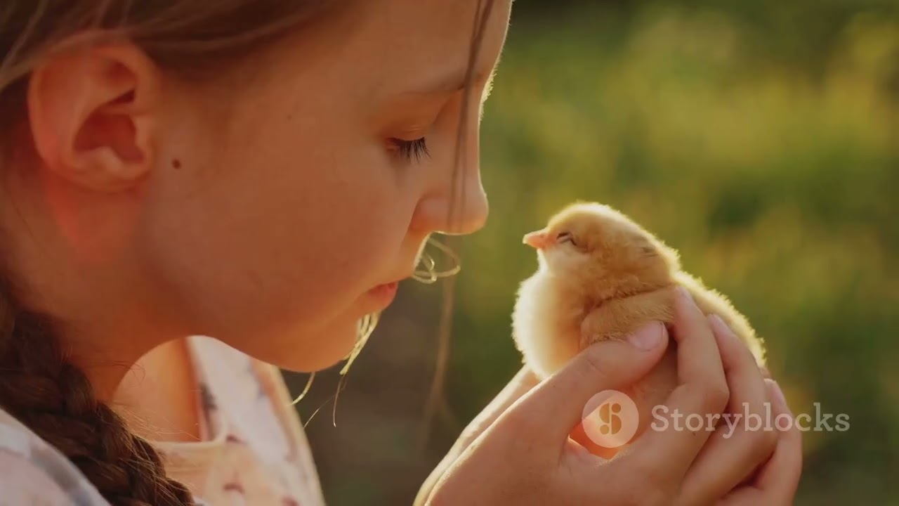 A Nurse and a Girl Save a Bird Shot by Hunters | Jungle Rescue Mission