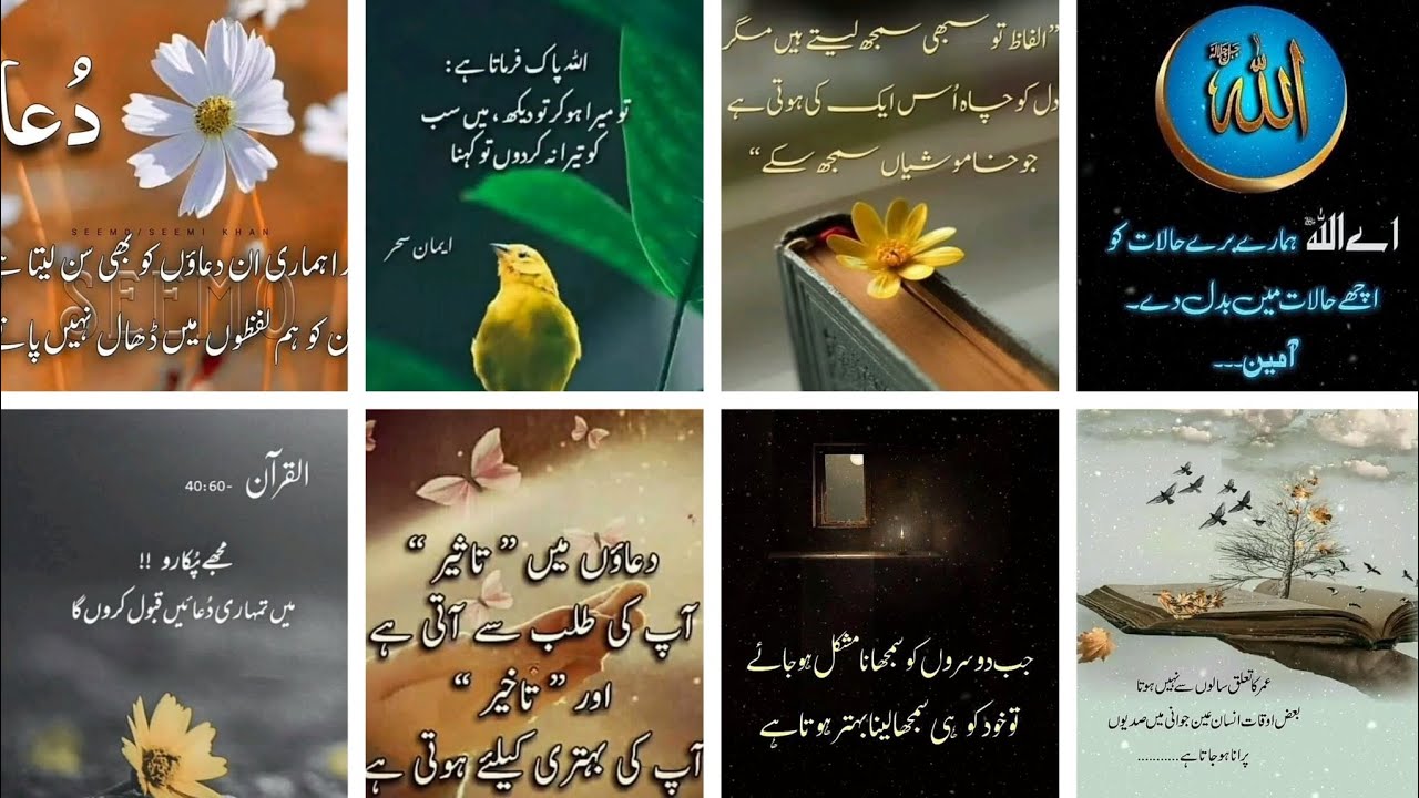 Best Urdu Shayari | Urdu quotes | Urdu Poetry | Sad poetry