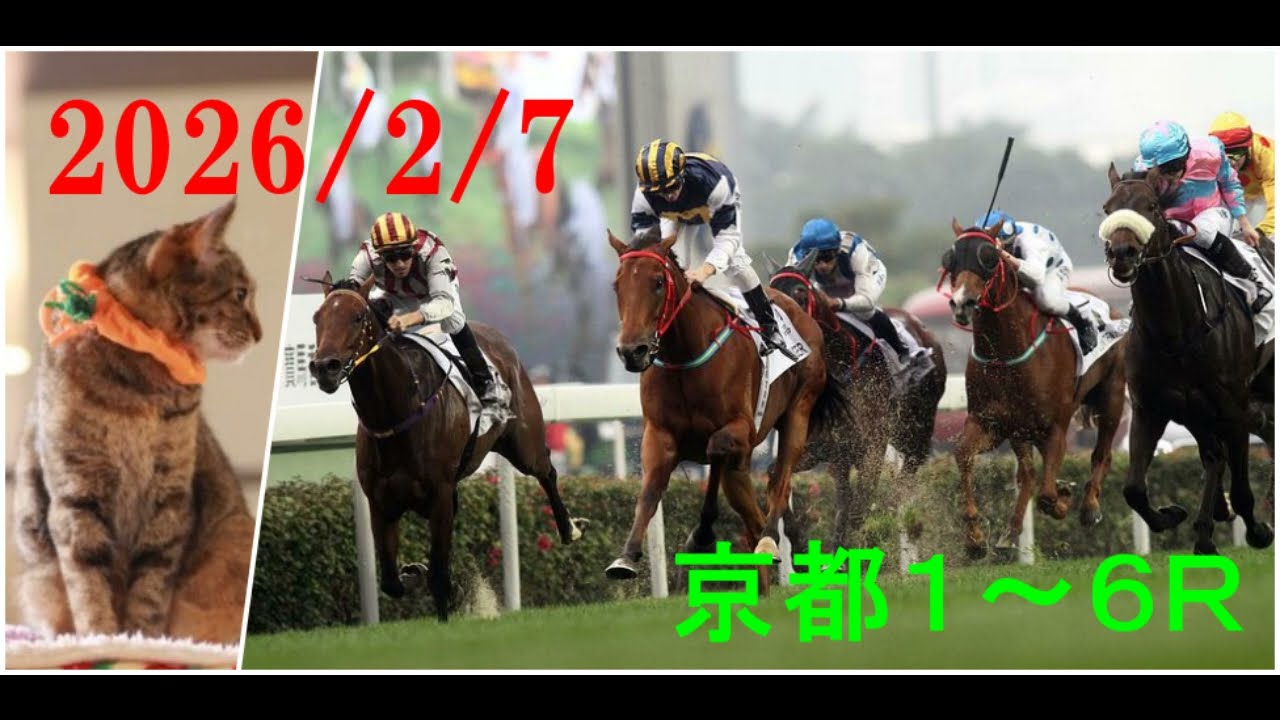 2026/2/7　京都１～６レース　枠順確定