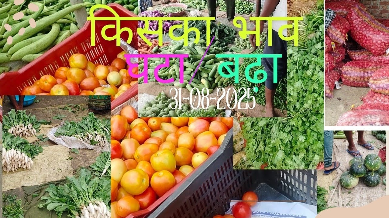 नंदगंज सब्जी मंडी आज का रेट | सब्जियों के ताजा भाव घटते-बढ़ते 