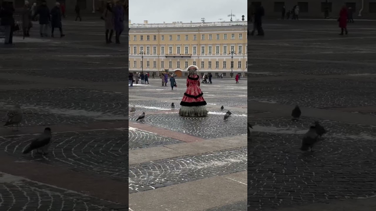 Пернатое ОПГ #воронгоша #raven #animal #crow