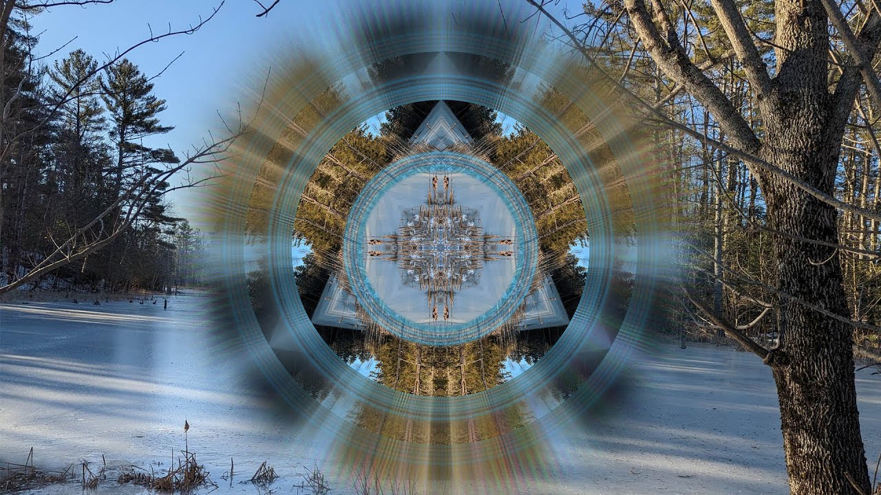 Winter Bog