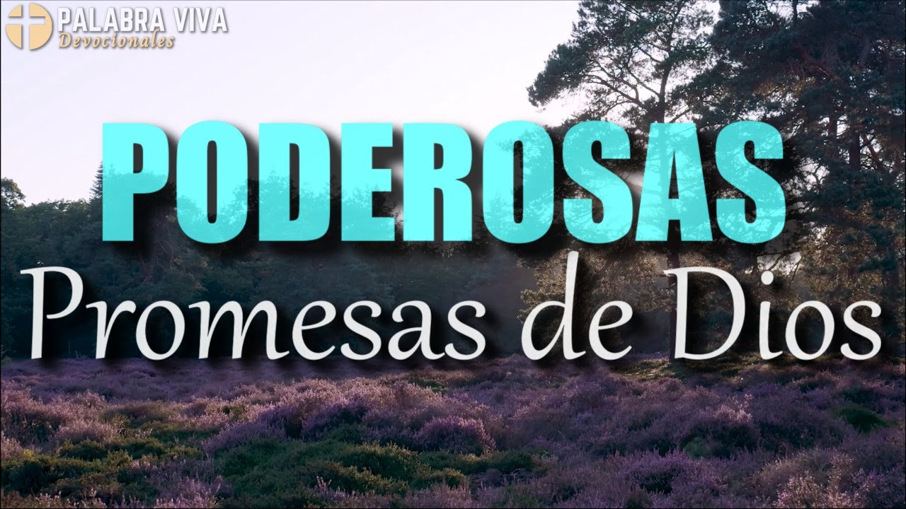 Vers&iacute;culos B&iacute;blicos que cambiaran tu d&iacute;a | Promesas de Dios | Recibe Paz y Fe con la Palabra de Dios