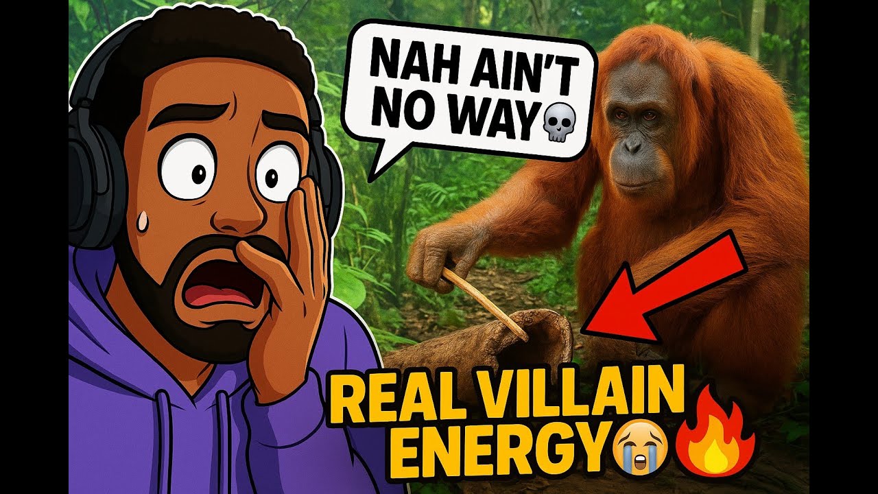 KXNG ROB Reacts: This ORANGUTAN Got a 200 IQ 😭💀 | Casual Geographic