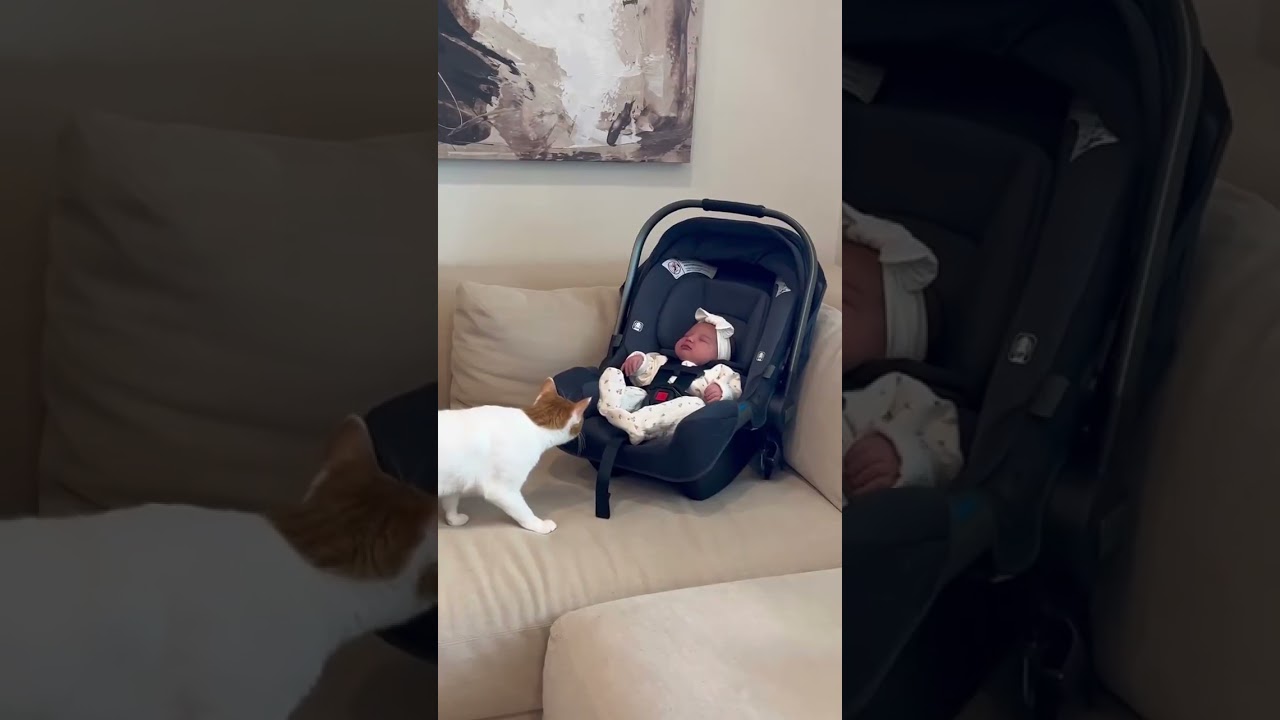They were excited to meet her!