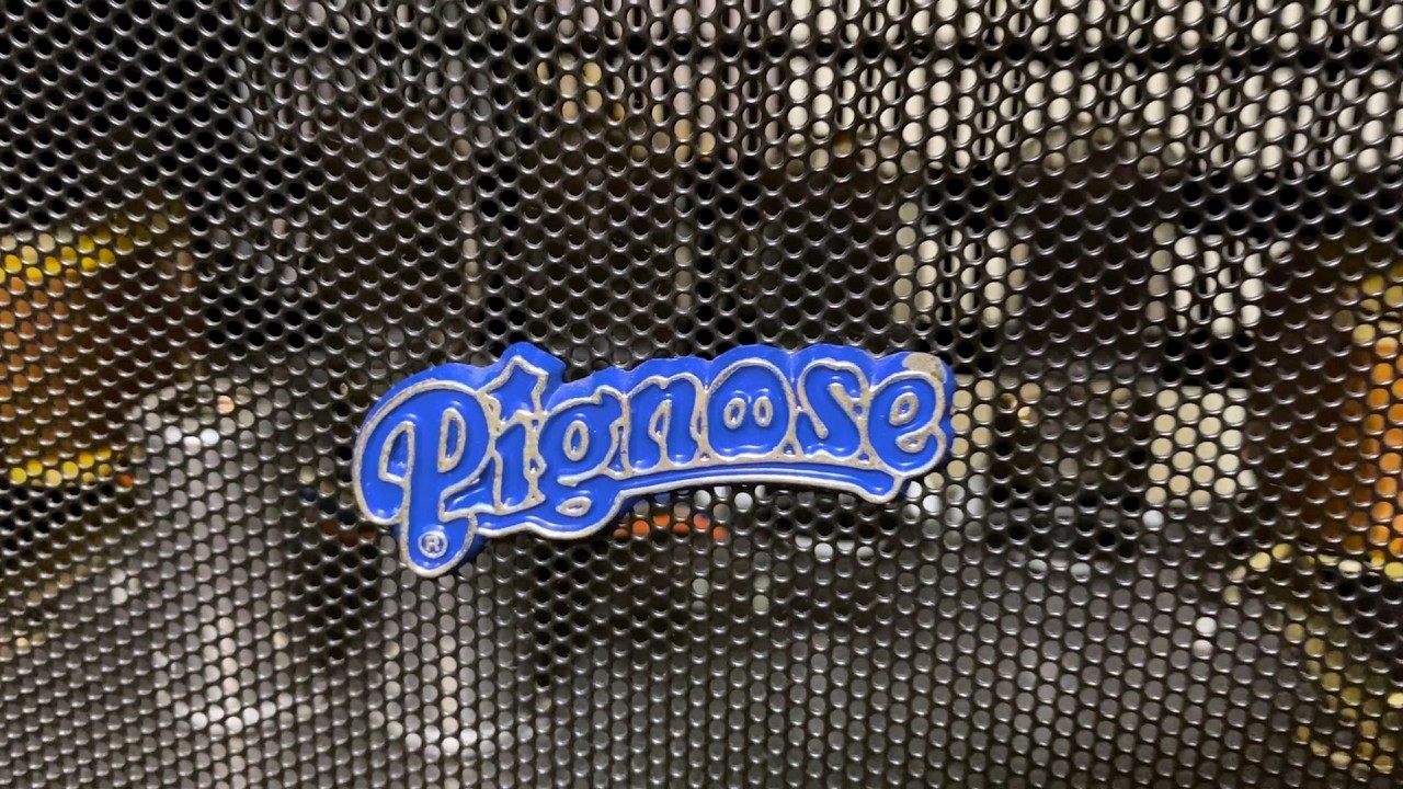 Проект реставрации Pignose B100V, часть 1: разборка, чистка и первичный осмотр