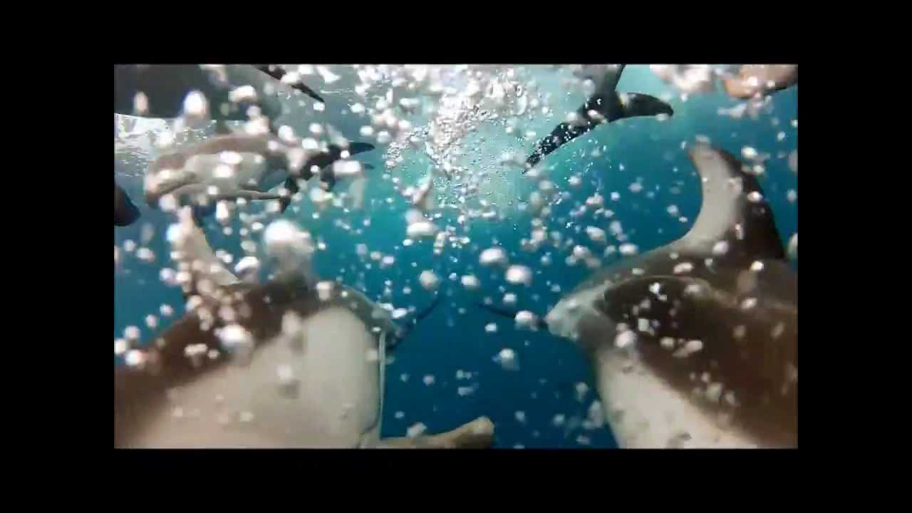 Joel Kanning - One World