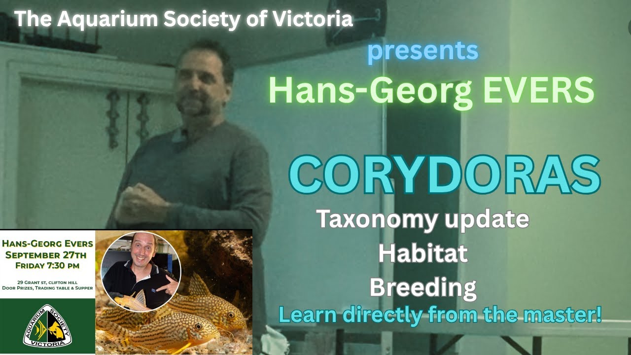 Hans-Georg EVERS talk -  Corydoradinae (Corydoras). Aquarium Society of Victoria presentation