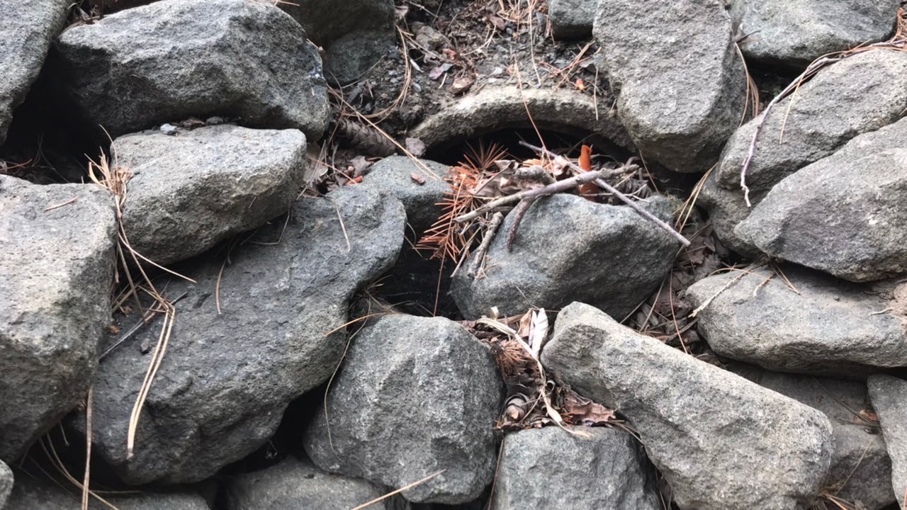 Unclogging Culverts #1