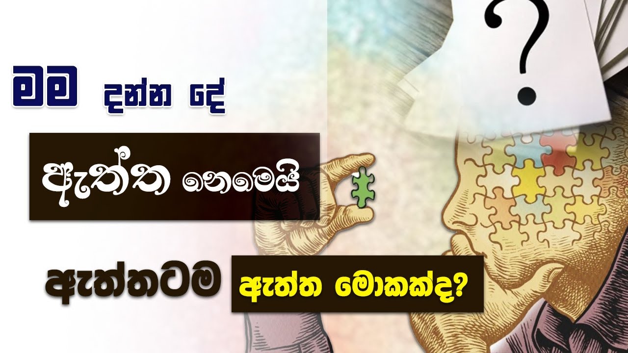 සිත පිළිගන්න හැමදේම ඇත්ත නෙමෙයි... | Niwan Dakimu