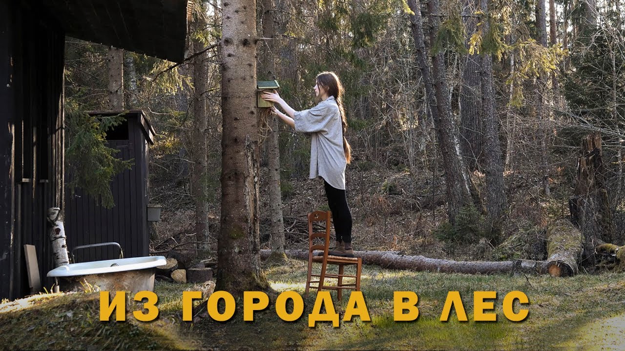 Купили Дом в Лесу | Первая Весна