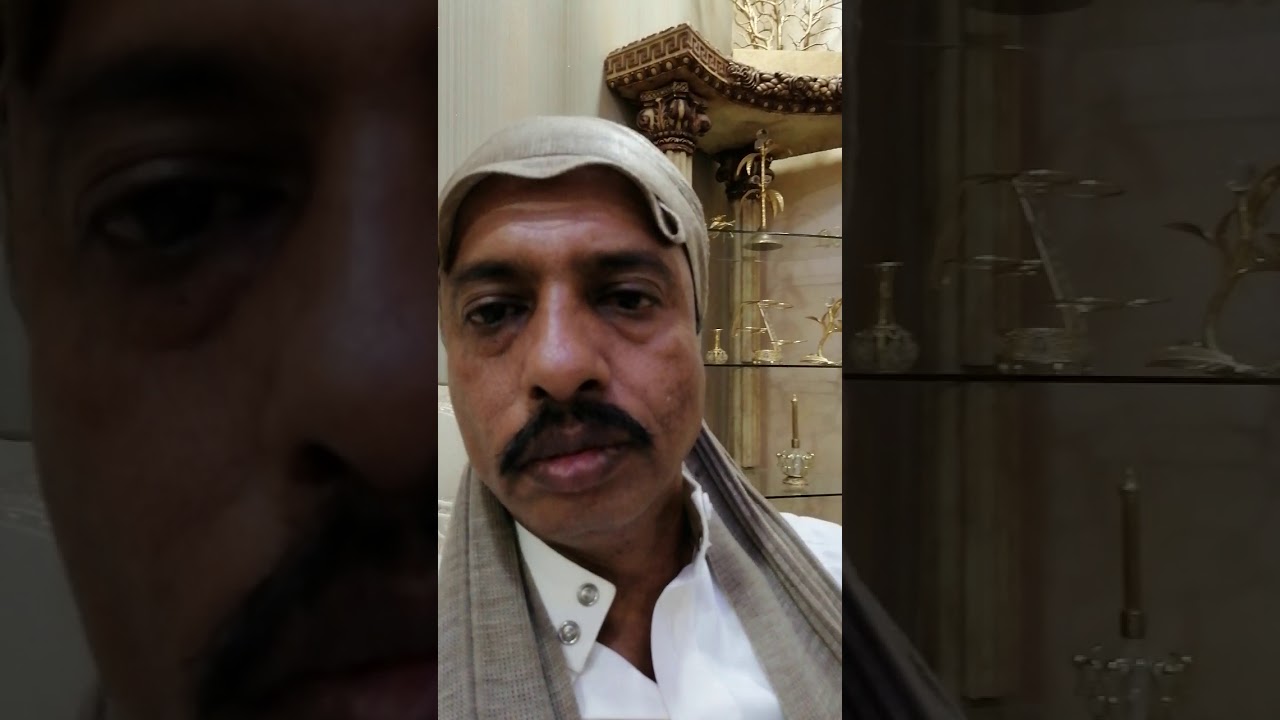 الحمام الباكستاني الطيار نسل الدسكو