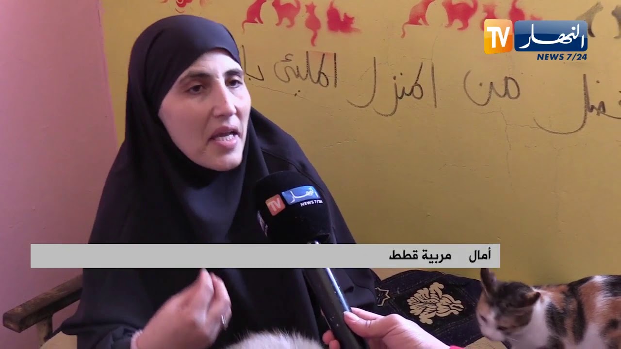 أمال مثال للرفق بالحيوان...   تربي أكثر من 30 قطا