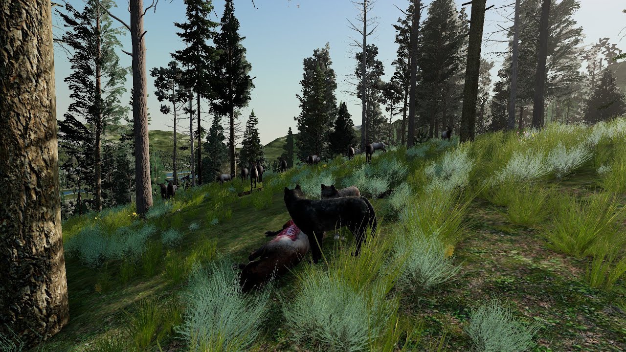 WolfQuest 3 Early Access: Hunting Down Invaders - Corvid #10