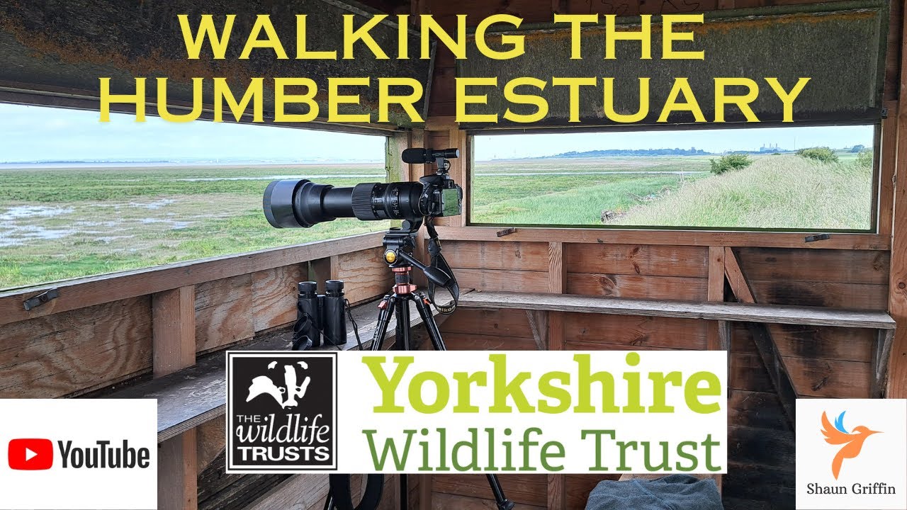 Paull Holme Strays - Environment Agency / YWT (Jun 24)