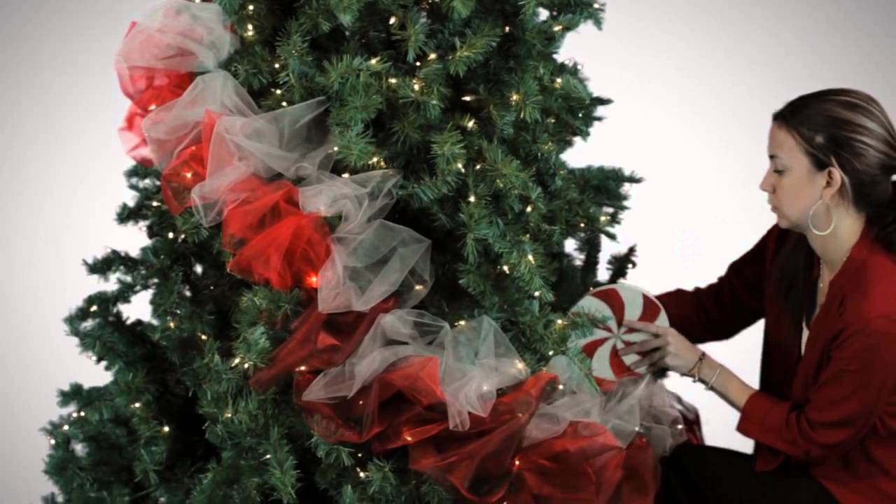 Pino Navideño H-E-B