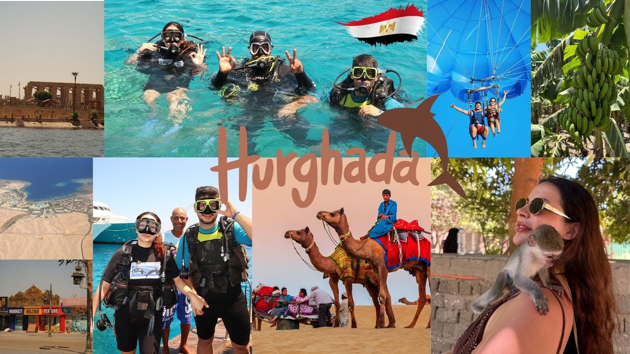 hurgada vlog (köpekbalıklarıyla dalış, parasailing, otel önerisi)