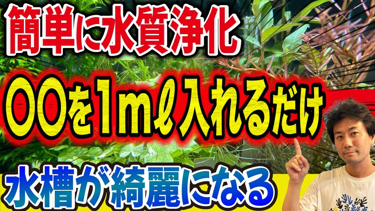 【たった1mℓで水質浄化!?】水草を綺麗にする〇〇を大公開！