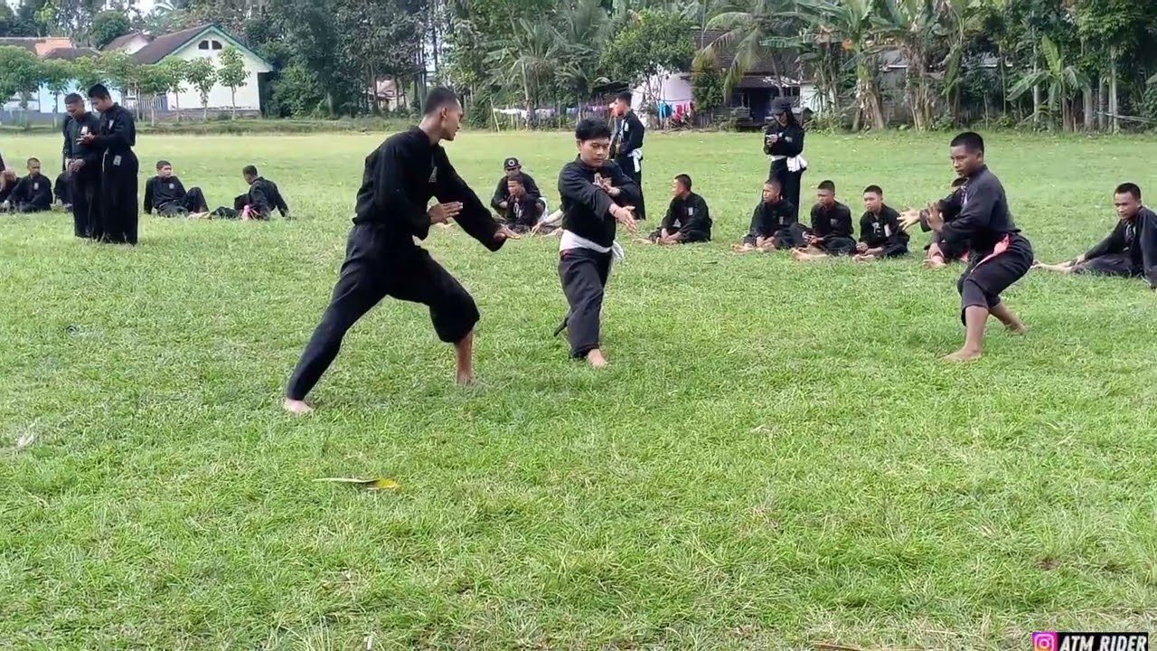 sambung kenaikan sabuk jambon ijo PSHT rntng Sempu cab Banyuwangi 2024