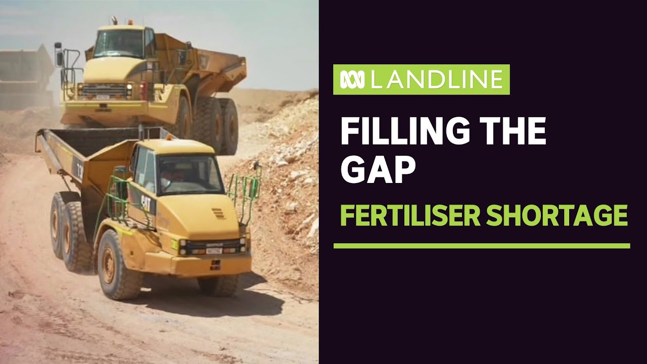 Disused mines being reworked to help fill global phosphate shortage | ABC News