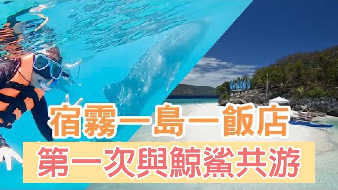 菲律賓宿霧旅遊必看！與鯨鯊共游🦈藍水蘇米龍島度假村 一島一飯店｜Hello Mr. Sean 香老闆聊旅行
