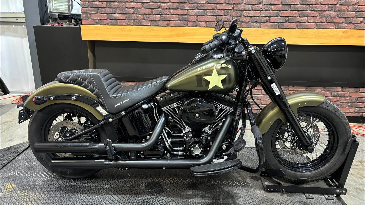 2016 Harley Davidson Softai Slim S 110
