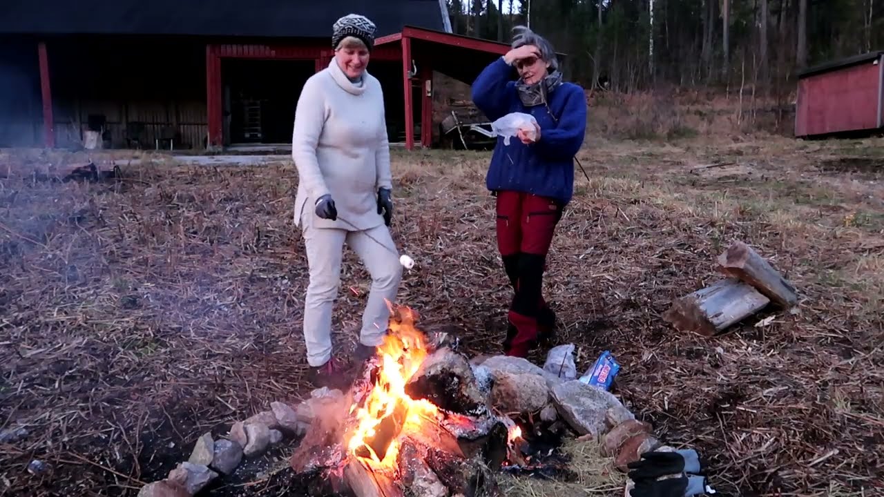 Office chaos, hay barn work & Stubborn monument #Vlog26