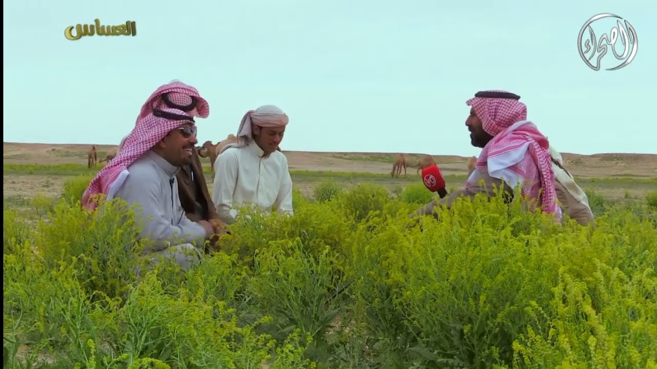 برنامج | العساس - جو كريم - الجزء الاول  | 17 / 4 / 1437 هــ