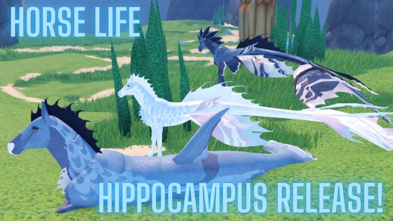 Horse Life -- Hippocampus Release! -- Livestream