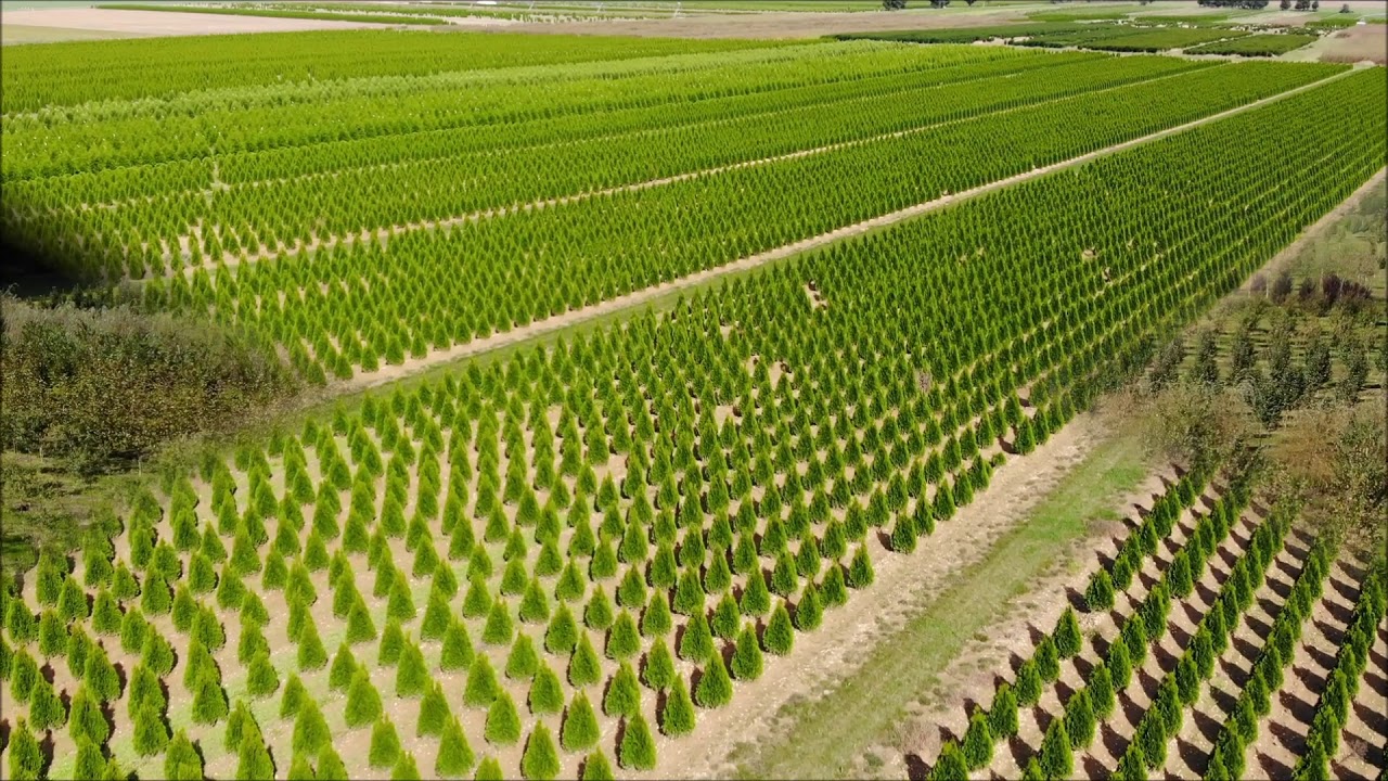 johnson farms
