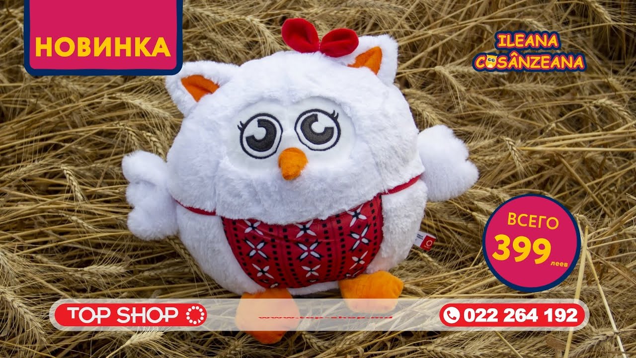 Сова-эмоция 