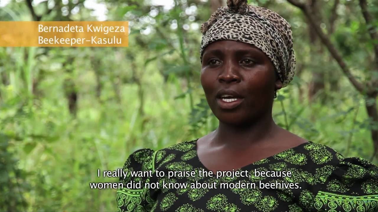 Developing Beekeeping in Kigoma Region - Tanzania