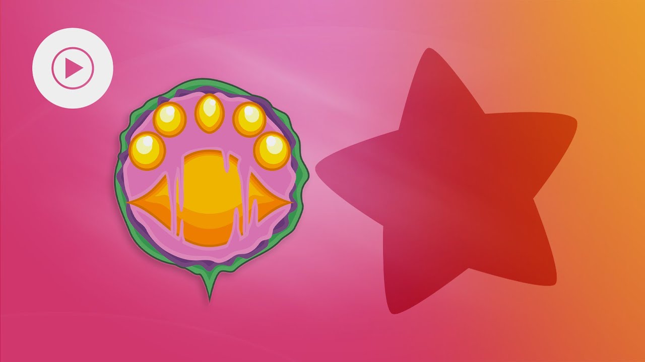 Drawcia Soul -ʀᴇᴀʀʀᴀɴɢᴇᴍᴇɴᴛ- from Kirby: Canvas Curse