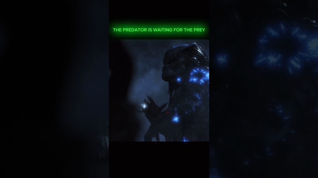 The Predator is waiting for the Prey ☠️ Edit 