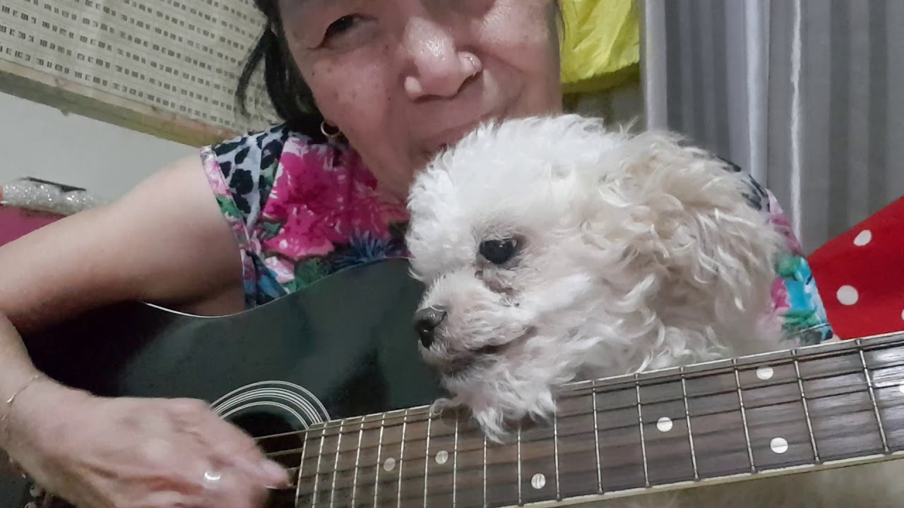 Why do i love u so( this one is called Chili thai 14 years old)