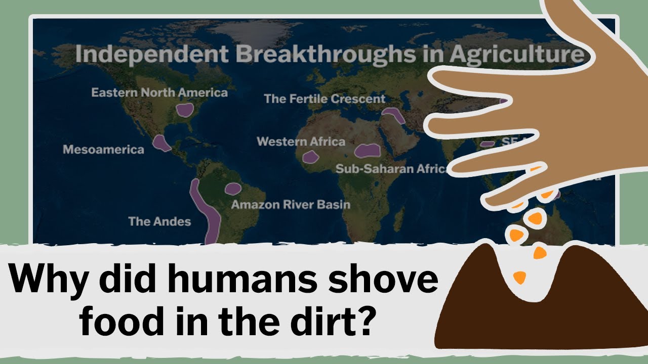 Why did humans shove food in the dirt? WH Basics: Ep3