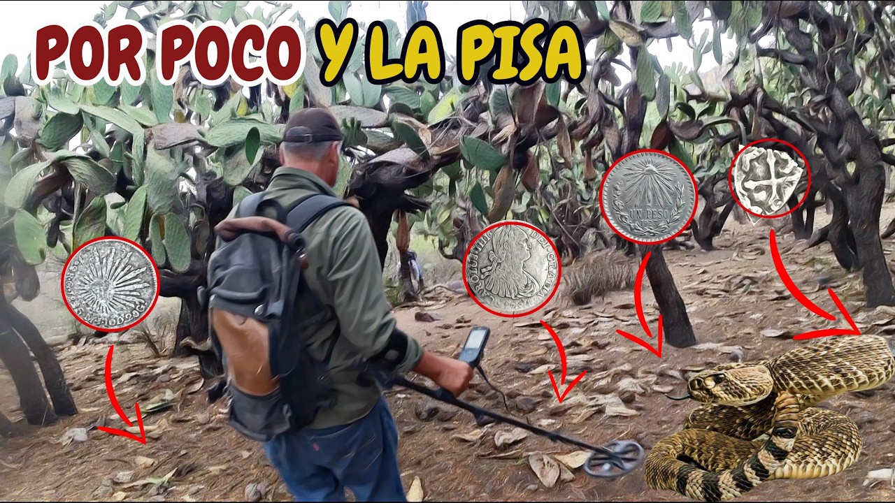 Encontré MUCHO DINERO y por POCO No la CONTAMOS!!