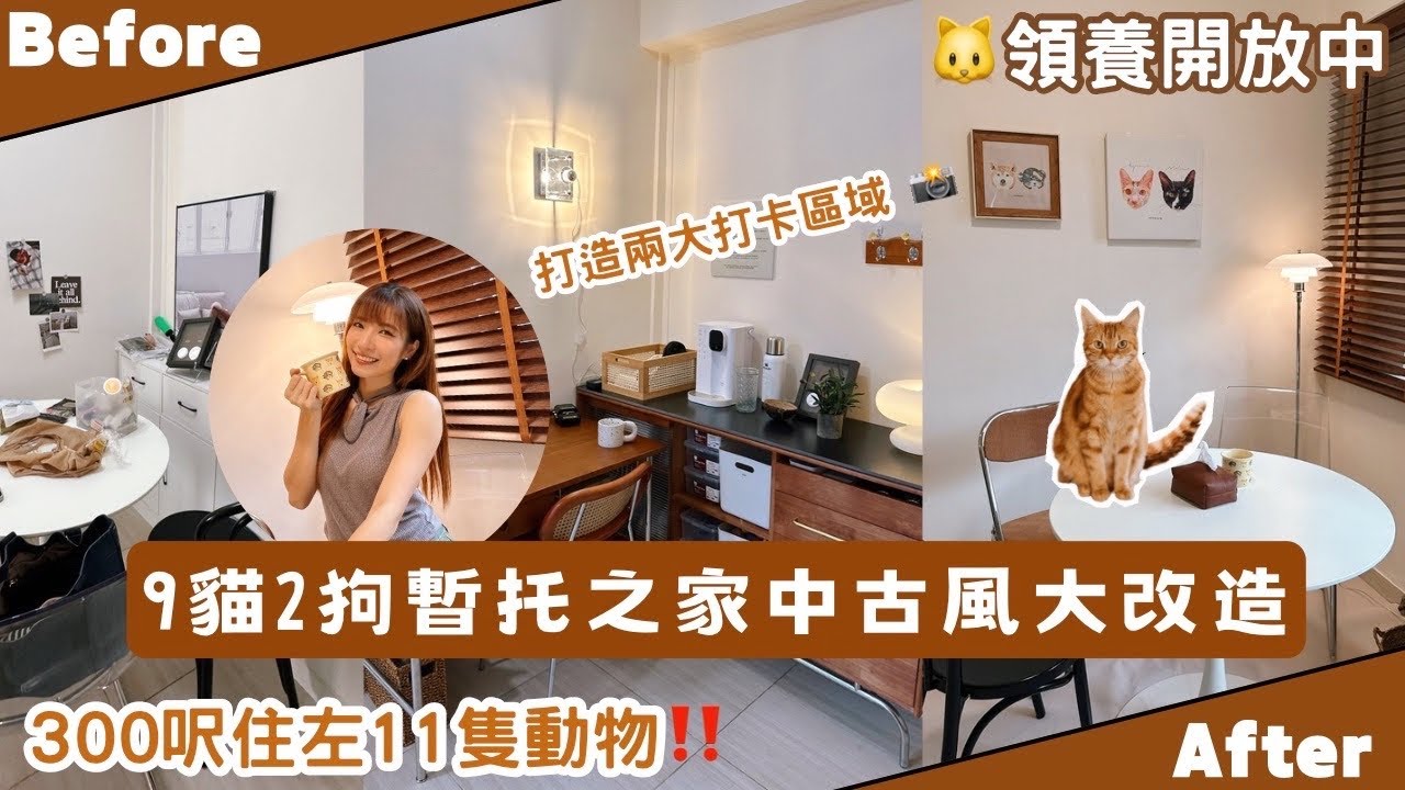 【Kira Vlog】我要做個收納師ep.31 | 《素人家居改造系列》 9貓2狗暫托之家中古風大改造✨300呎住左9貓2狗2人‼️😂每個角落都係studio拍攝場景😍領養開放中🐱