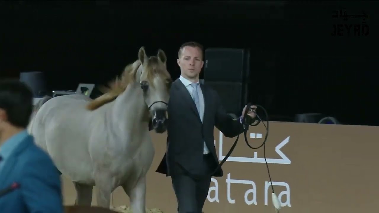 Group Presentation   Yearling Colts A Class 4A