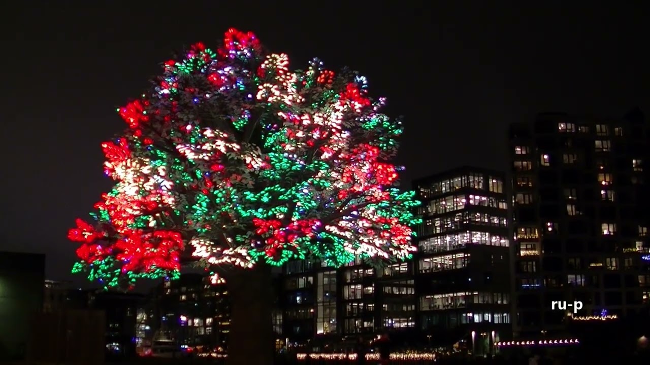AIDAnova 'NOR & DK ab HH' (04) 16.12.2025 Oslofjord, Abend Ausflug (OSL21) & Baum