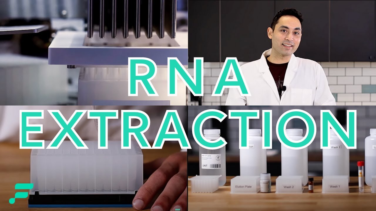 RNA Extraction Demonstration
