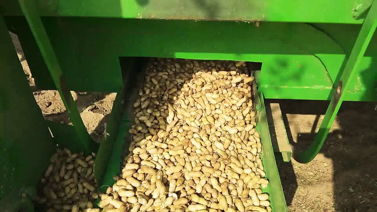 मूंगफली निकालने की मशीन ||Mungfali Machine Best||Toka Thraser Video|| Agriculture Life || 2K19