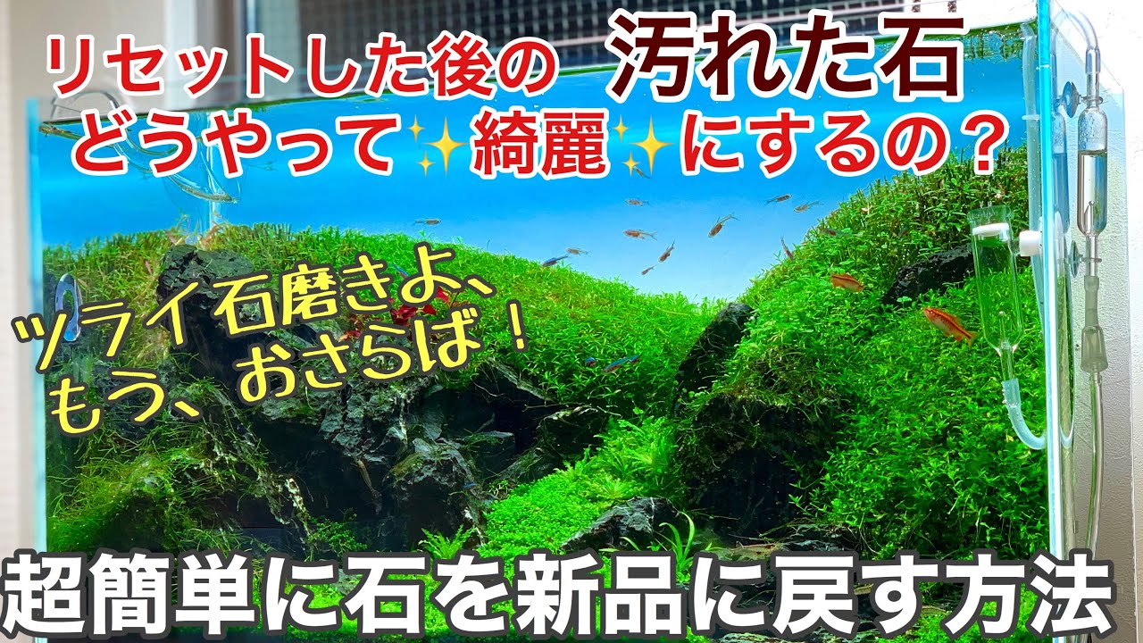 水草水槽でコケが付いた石を簡単に綺麗にする方法「アクアリウム、熱帯魚、ADA、初めてのネイチャーアクアリウム立ち上げのノウハウ」