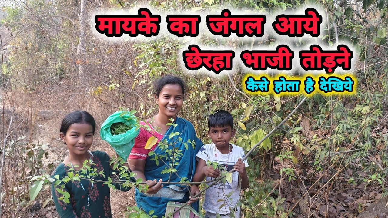 मायके का जंगल आए छेरहा भाजी तोड़ने ll 🤤 #premshila vlogs..March 2026